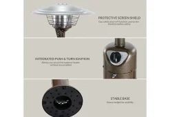 Shinerich International Inc 10,000 BTU Bronze Tabletop Patio Heater