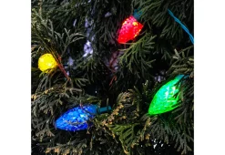 Flipo Group, Inc. 100 LED Battery Operated String Lights