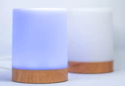 Dig8tal Pty Ltd Across the Miles Friendship Lamps (Set of 2)