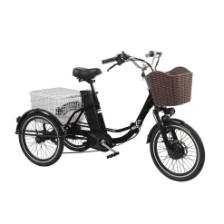 FEND Corp Adult Electric Tricycle