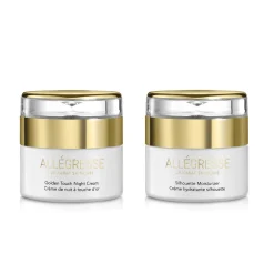 Bibas Wholesale And Retail Inc Allegresse 24K Moisturizing Set