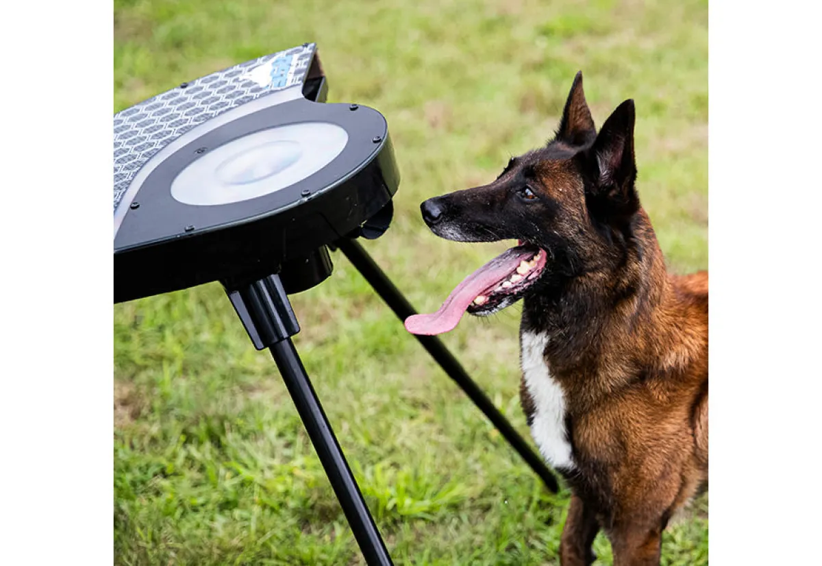 FRANKLIN SPORTS Automatic Dog Disc Launcher