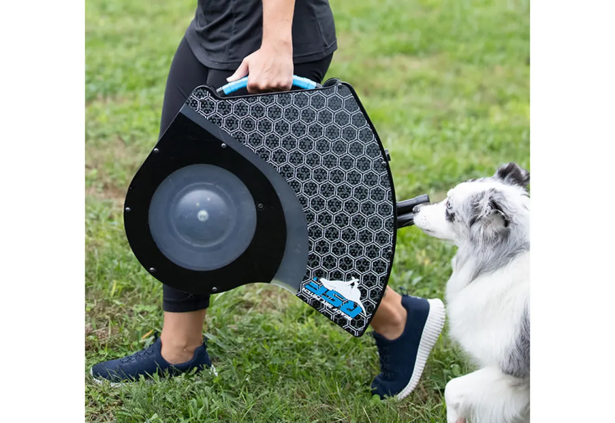 FRANKLIN SPORTS Automatic Dog Disc Launcher