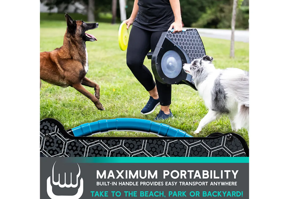 FRANKLIN SPORTS Automatic Dog Disc Launcher