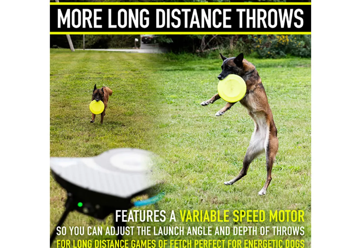 FRANKLIN SPORTS Automatic Dog Disc Launcher
