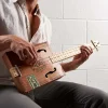 Hal Leonard Blues Box Guitar System