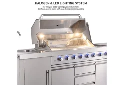 Shinerich International Inc 6-Burner Propane Gas Grill Island with Rotisserie and Outdoor Refrigerator