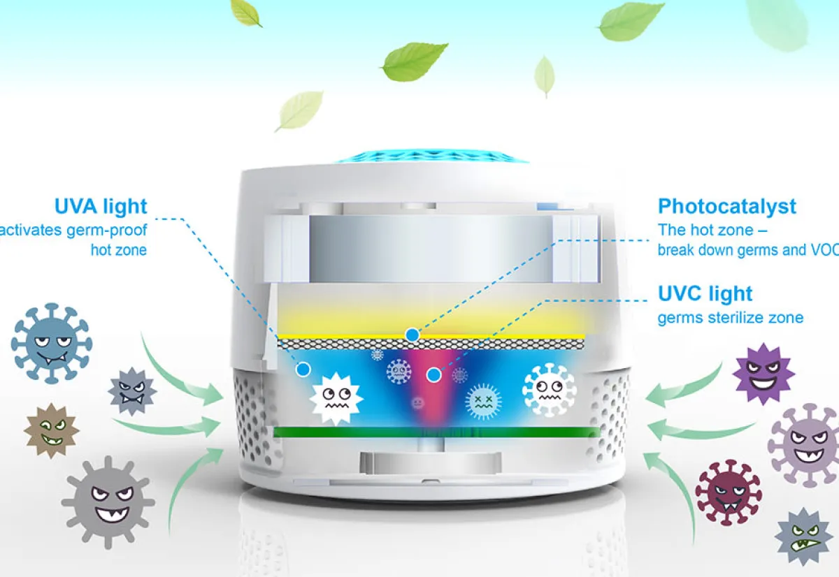 Wiseome Inc. Car Odor Eliminator