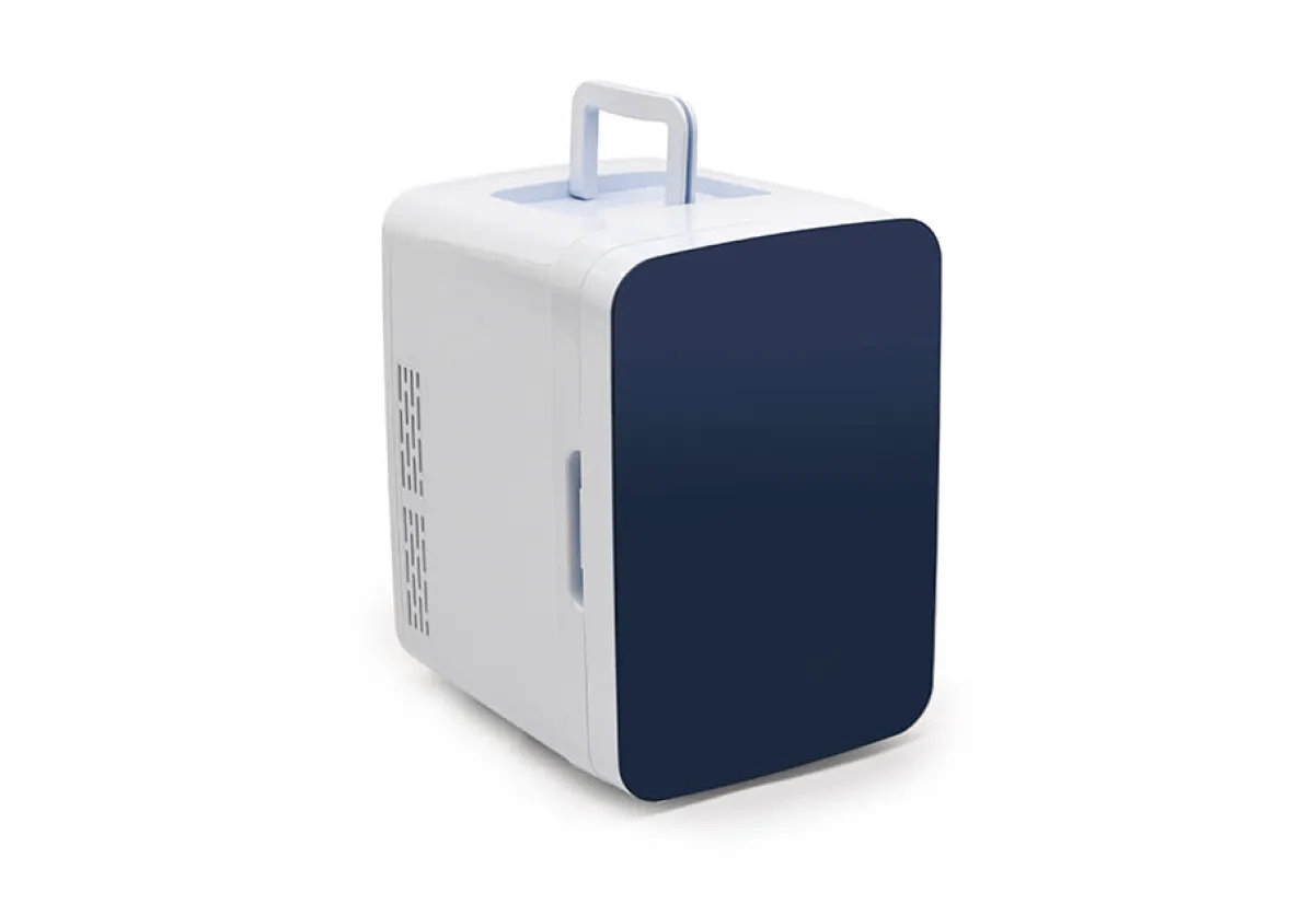 Delk Products, Inc. Cold/Warm Portable Mini Fridge
