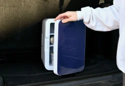 Delk Products, Inc. Cold/Warm Portable Mini Fridge