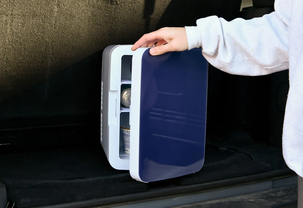 Delk Products, Inc. Cold/Warm Portable Mini Fridge