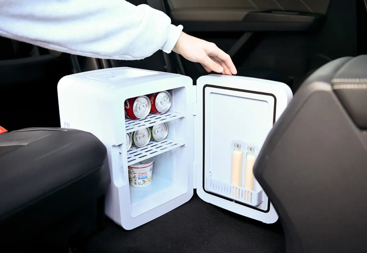 Delk Products, Inc. Cold/Warm Portable Mini Fridge