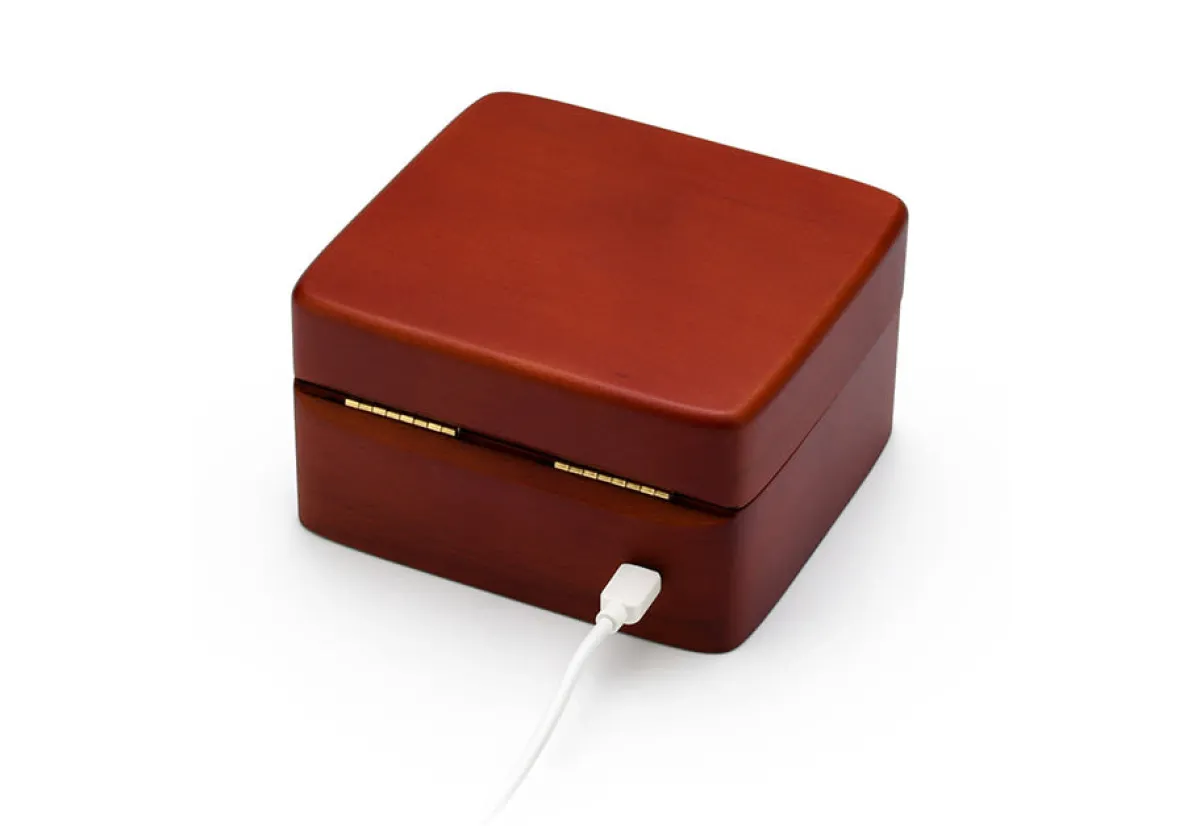 LED Technologies, LLC Custom Music Jewelry Box