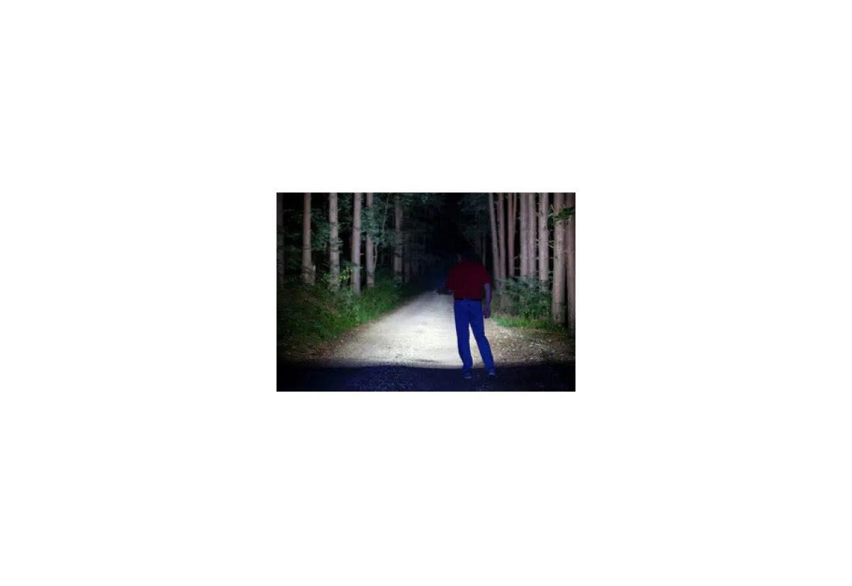 TripleLite 180-Degree Flashlight