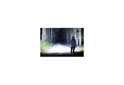 TripleLite 180-Degree Flashlight