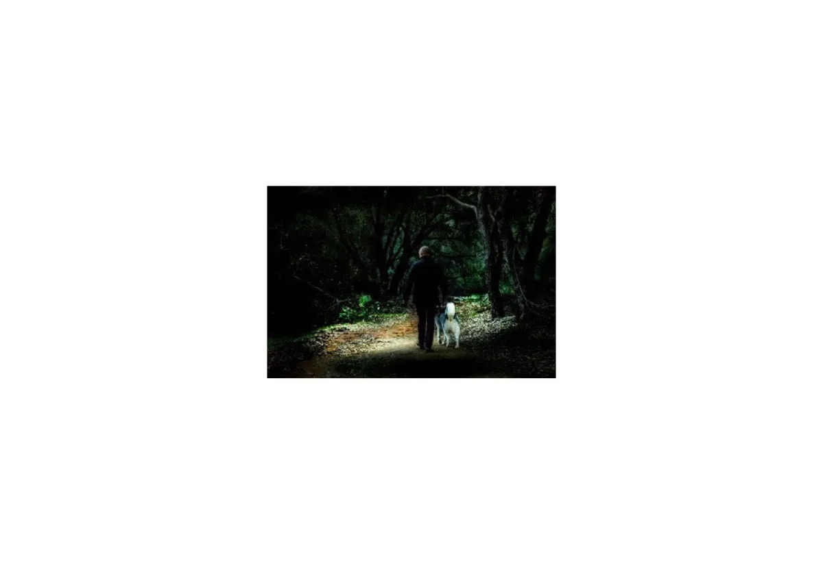 TripleLite 180-Degree Flashlight