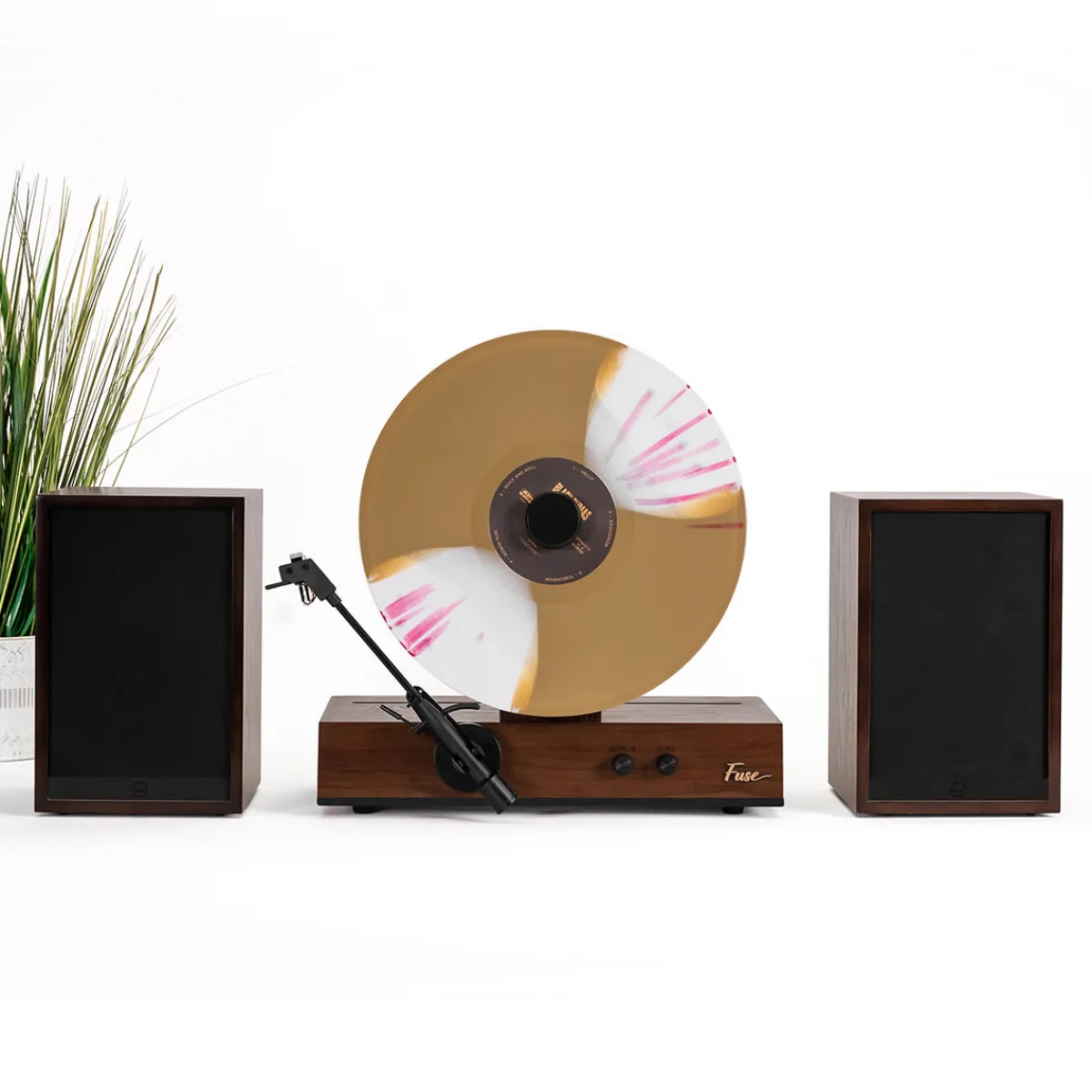 DI - Forward Video Technology Co.,Ltd Deluxe Vertical Vinyl Player
