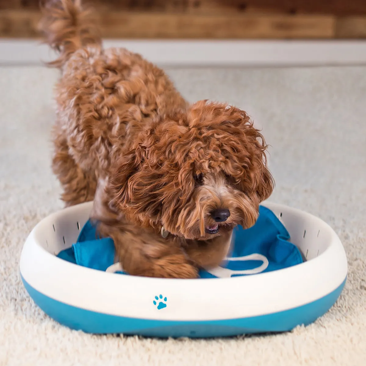 Pet Life LLC Digging Toy for Dogs