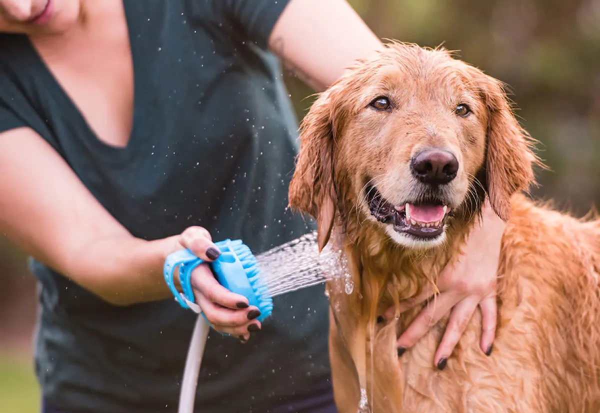 Cap Hill Brands dba AquaPaw Dog Bath Brush Sprayer and Scrubber