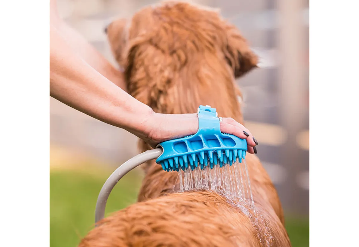 Cap Hill Brands dba AquaPaw Dog Bath Brush Sprayer and Scrubber