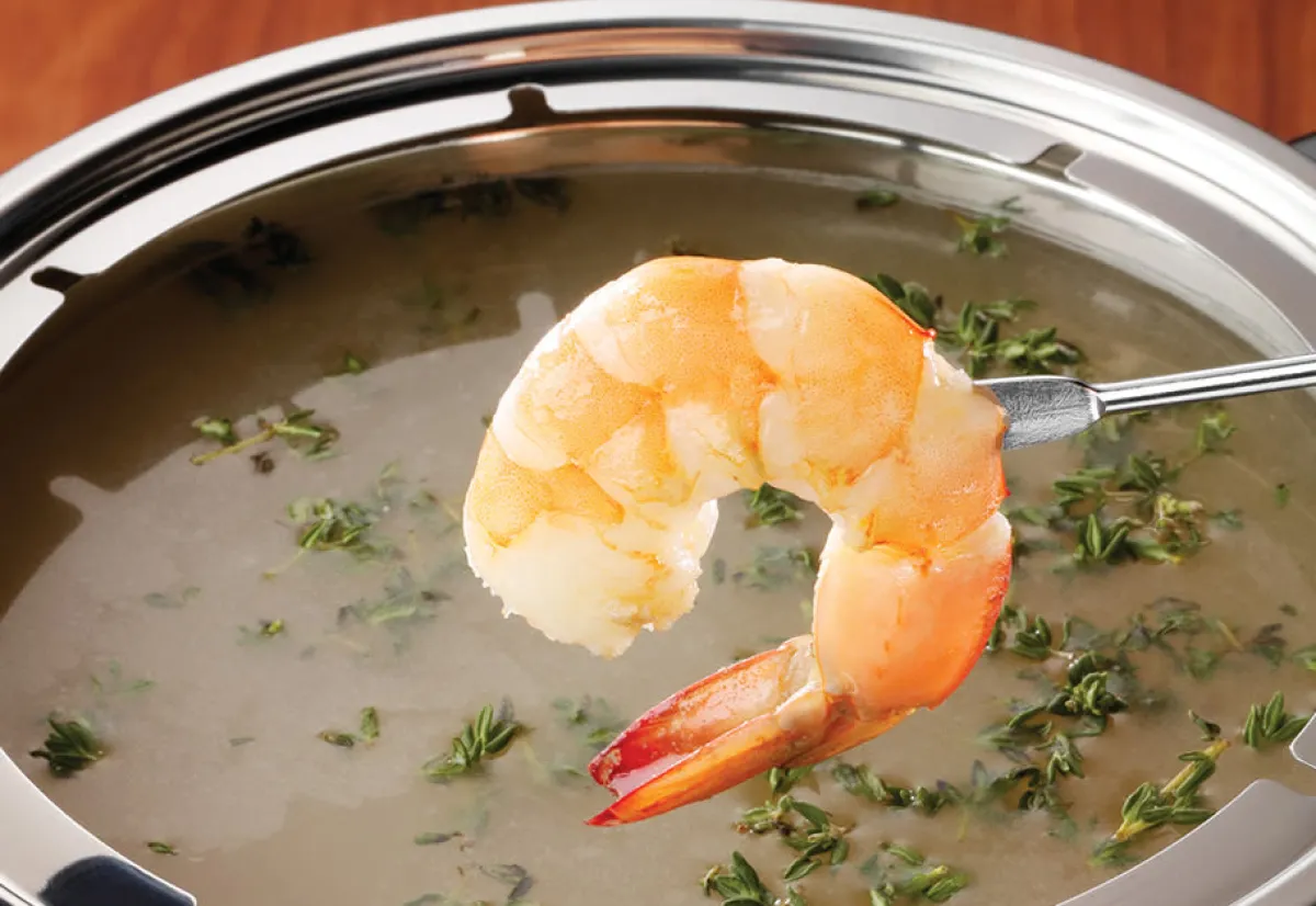 Sharper Image Electric Fondue Maker