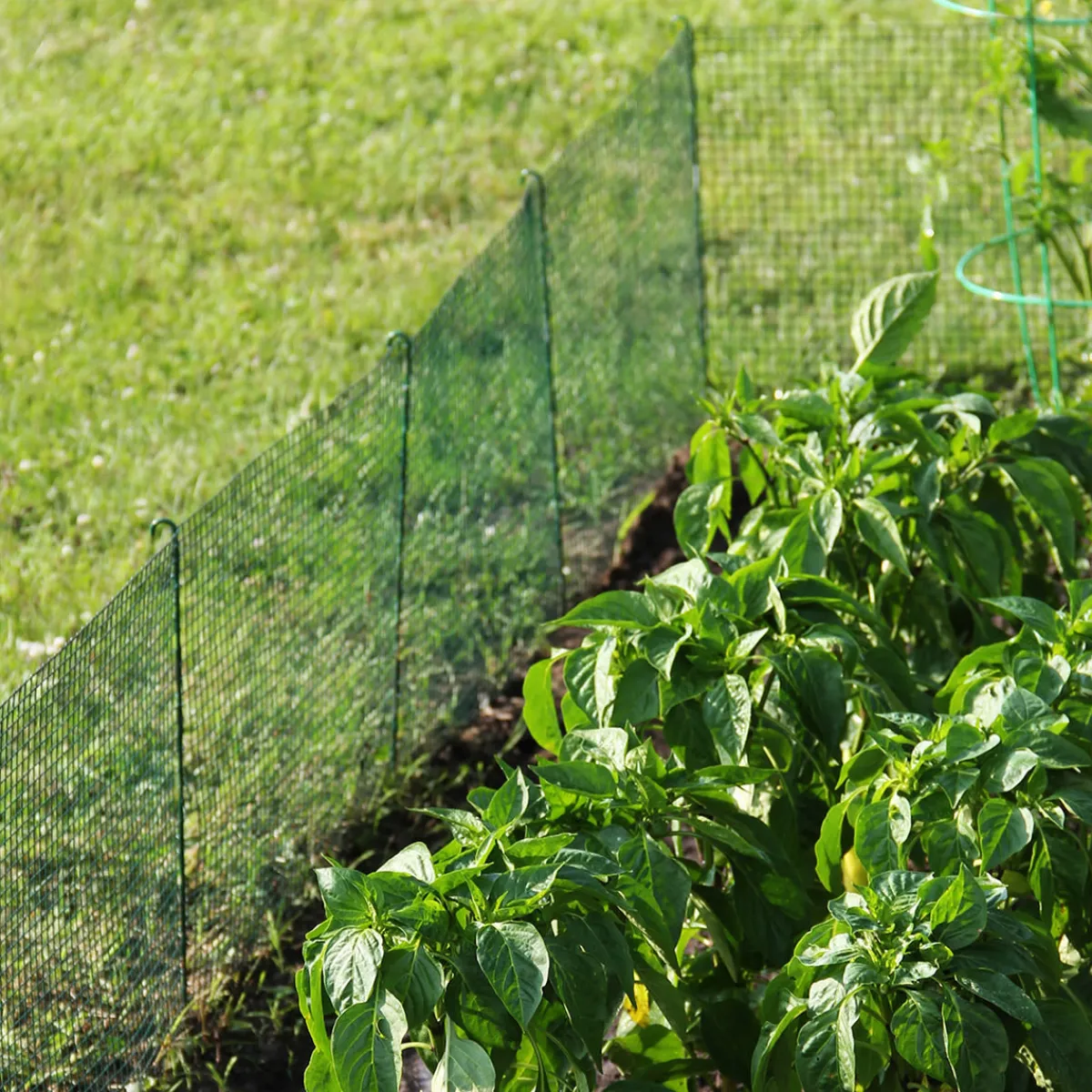 Spade To Fork Expandable Modular Garden Fencing System