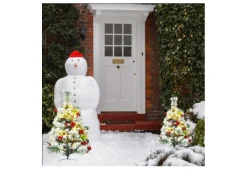 Odash Inc. 2-Ft. Cordless Pre-Lit Walkway Trees (Set of 2)