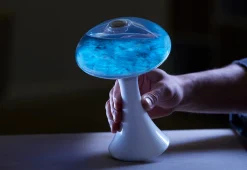 Mañanaland LLC (d/b/a/Urbz) Glowing Plankton Aquarium