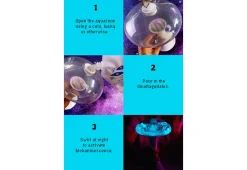 Mañanaland LLC (d/b/a/Urbz) Glowing Plankton Aquarium