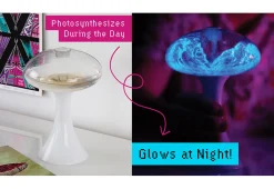 Mañanaland LLC (d/b/a/Urbz) Glowing Plankton Aquarium