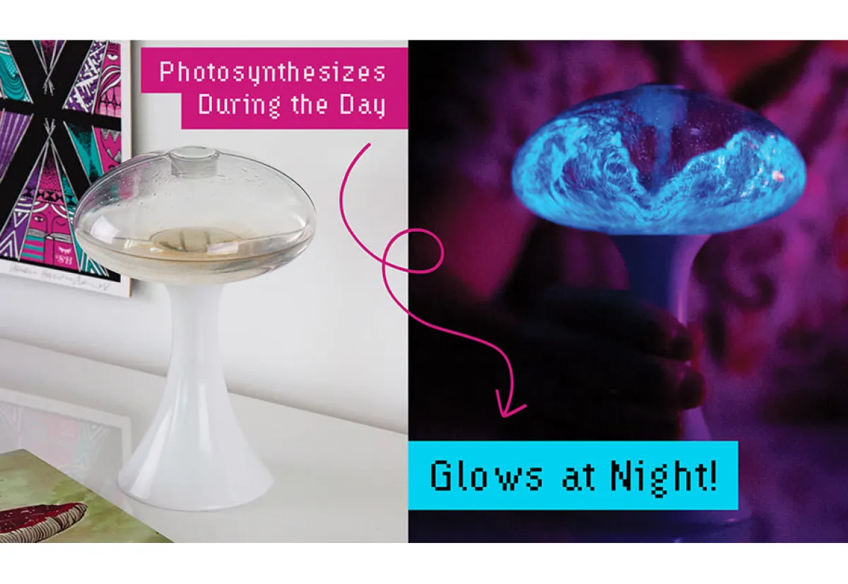 Mañanaland LLC (d/b/a/Urbz) Glowing Plankton Aquarium