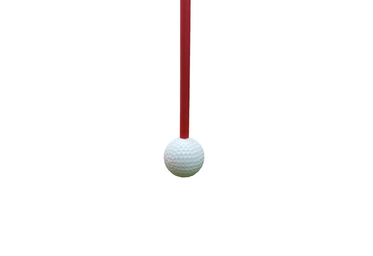 Celestron Acquisition, LLC Golf Swing and Hitting Trainer