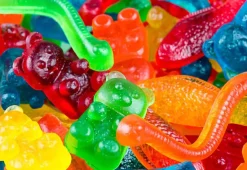 Englewood Marketing Group, Inc. Gummy Candy Maker