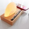 Sharper Image Himalayan Salt Wireless Charger