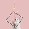 Pet Life LLC 10-in-1 Extendable Cat Laser and Teaser