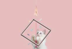 Pet Life LLC 10-in-1 Extendable Cat Laser and Teaser
