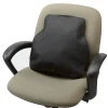 Bodyryzm Inflatable Lower Back Rest