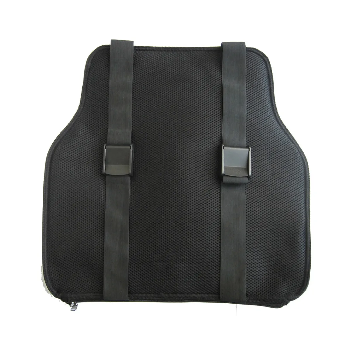Bodyryzm Inflatable Lower Back Rest