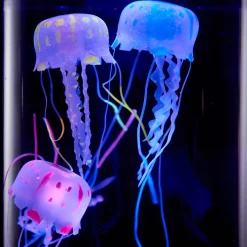 Camelot SI, LLC Jellyfish Aquarium