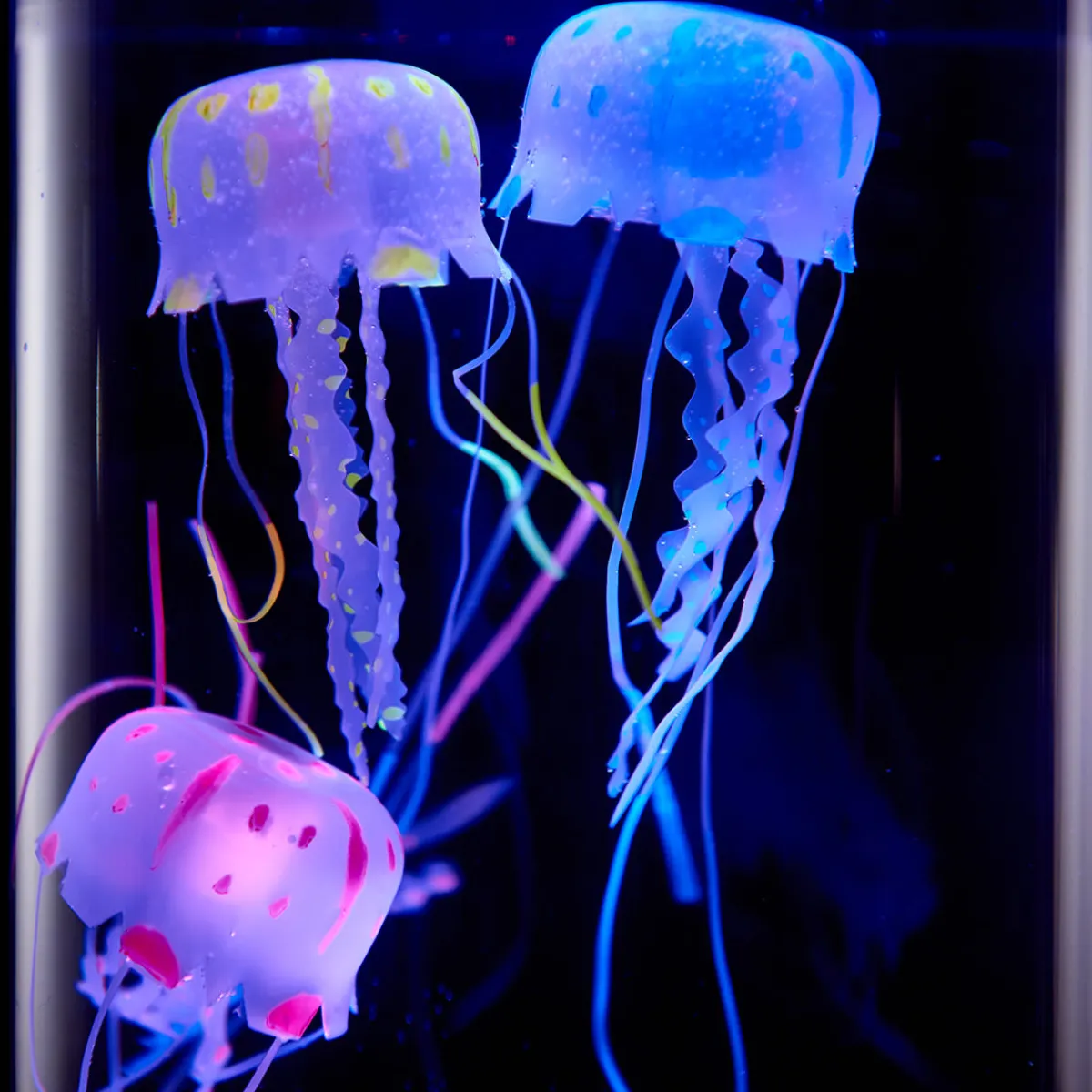 Camelot SI, LLC Jellyfish Aquarium