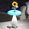 Heron Elite Inc LED Ceramic Flower Vase