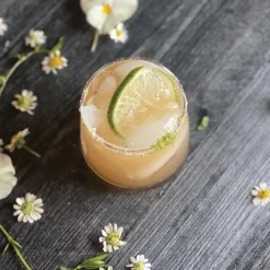 One Part Holdings, Inc Margarita Mini Bar Kit