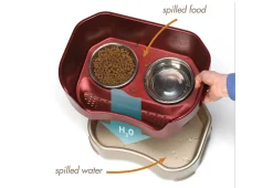 Neater Pet Mess Proof Pet Feeder