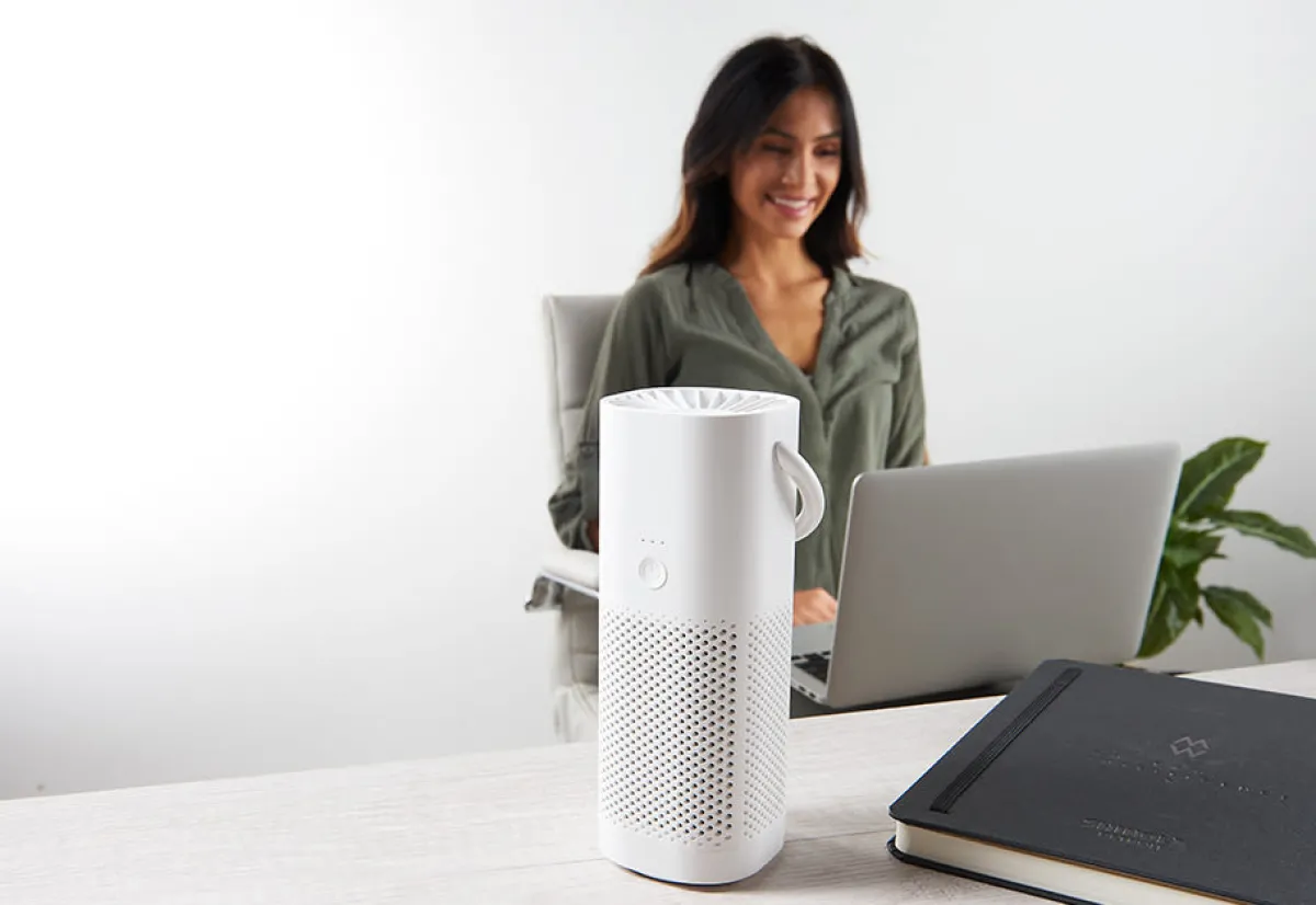 Bear Down Brands, LLC Mini Portable Air Purifier