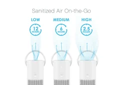 Bear Down Brands, LLC Mini Portable Air Purifier