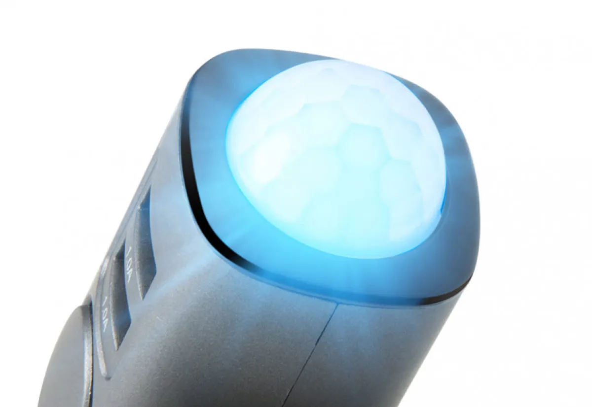 Ingram Micro Consumer Electronics Motion Detection Car Alarm