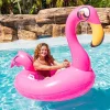 B u0026 D Group Motorized Pool Float