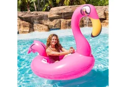 B u0026 D Group Motorized Pool Float