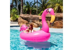 B u0026 D Group Motorized Pool Float