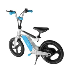 DGL Group Ltd My First E-Bike